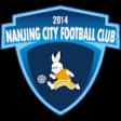 Nanjing Fengfan