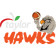 Hawke's Bay Hawks