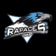 Rapaces de Gap
