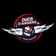Angers Ducs