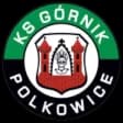 KS Gornik Polkowice