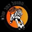 Hapoel Kfar Shelem