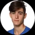 Gustavo Heide