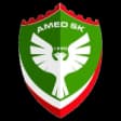 Amed Sportif Faaliyetler Kulübü