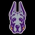 UAlbany