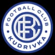 Kudrivka Irpin