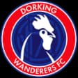 Dorking Wanderers FC