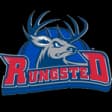 Rungsted Seier Capital