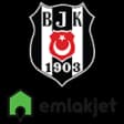 Fibabanka Beşiktaş Jimnastik Kulübü