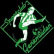 SC Genemuiden