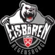 Eisbaren Regensburg