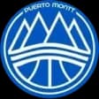 Puerto Montt Basquetbol