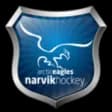 Narvik Hockey Arctic Eagles