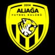 Aliağa Futbol AŞ
