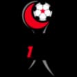 Turkey - 1. Lig