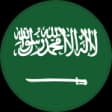 Saudi Arabia - Division 1
