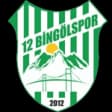 12 Bingöl Spor Kulübü