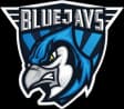BLUEJAYS.de