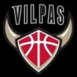 Salon Vilpas Vikings