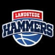 Landstede Hammers