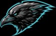 Not A Squad Esports