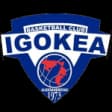 Igokea Aleksandrovac