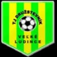 TJ Druzstevnik Velke Ludince