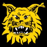 @ Ilves (H)