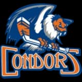 Bakersfield Condors (A)