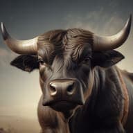 The_bulls_tips