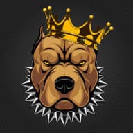 Pitbull_Picks