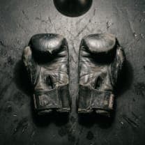 Octagon Grunts