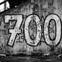 700 Level
