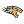 Towson