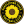 Sunflower State Fc W