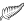 New Zealand U19