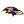 Baltimore Ravens