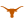 Texas Longhorns