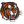 Medicine Hat Tigers