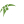 SBS Ostrava W (A)