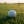 Amen Corner avatar