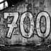 700 Level avatar