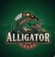 Alligator_Picks