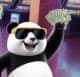 Panda_Btc_88